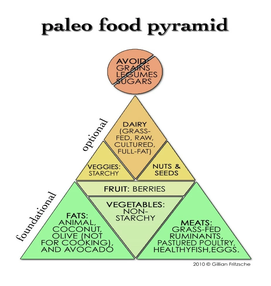 paleo food pyramid
