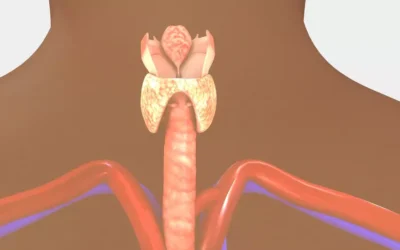 When Should You Get Thyroid Testing?